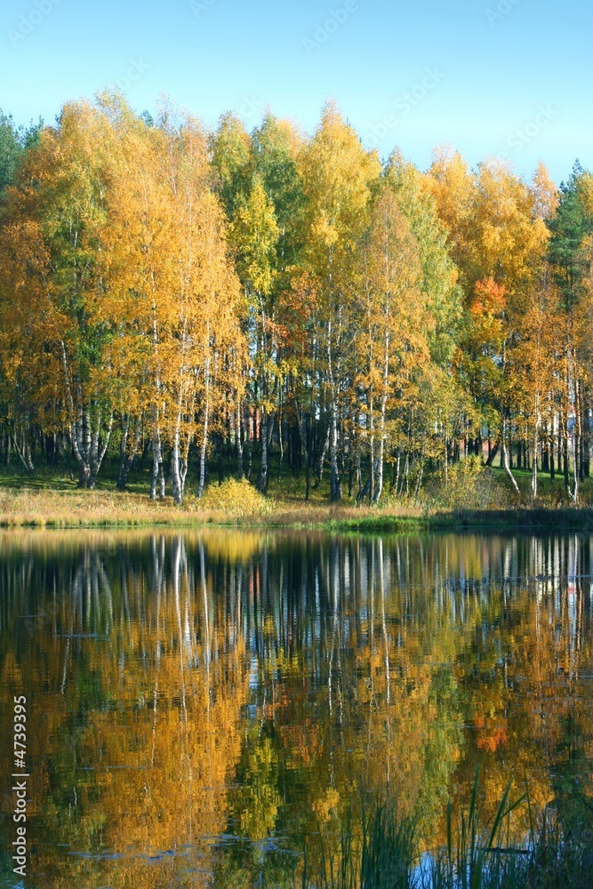 Fototapeta premium Autumnal lake