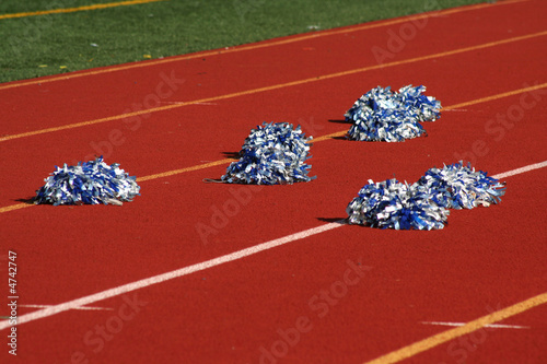 Cheerleader pom poms