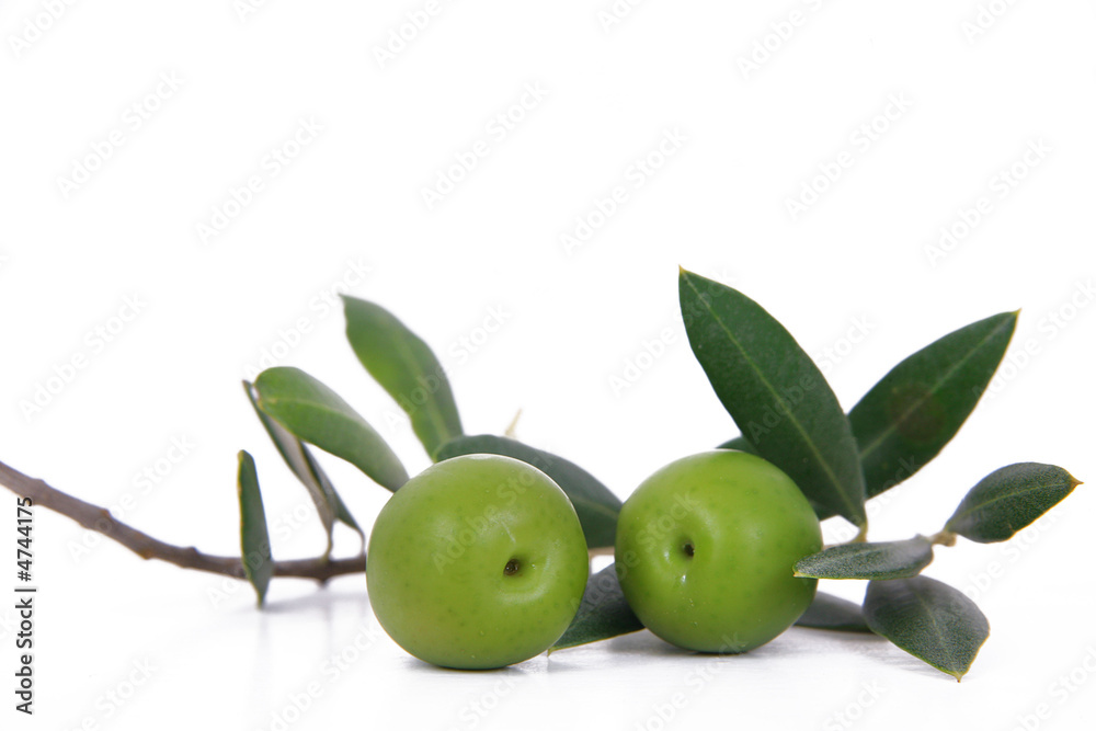 olive 72
