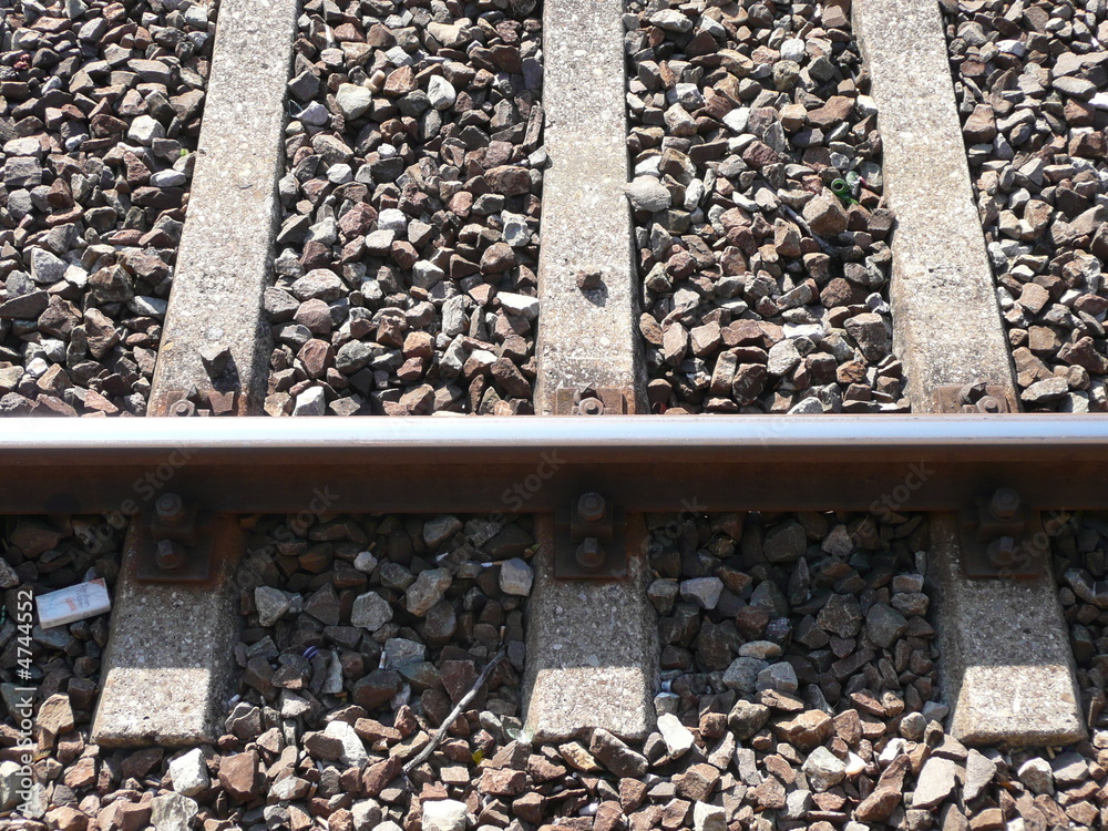 custom made wallpaper toronto digitalSchiene2