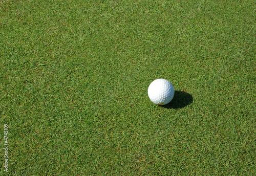 Golf ball in a course
