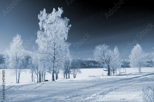 Winter landscape