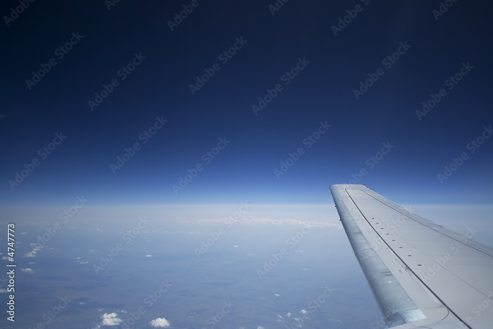 Obraz premium high blue sky wing