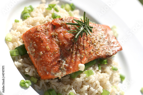 Salmon