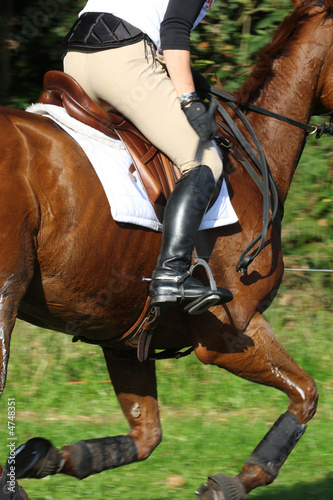 horse and rider following an eventing track