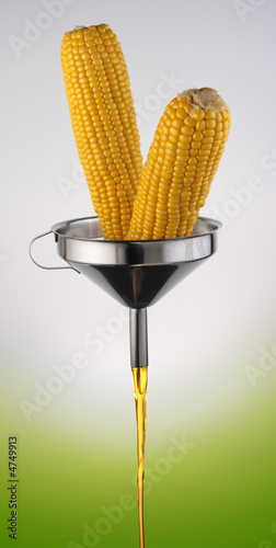 Bio-fuel