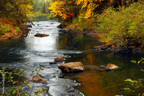 Forest river in the fall #4751327