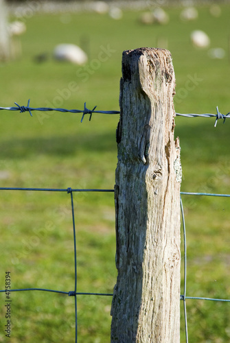 fence post in field