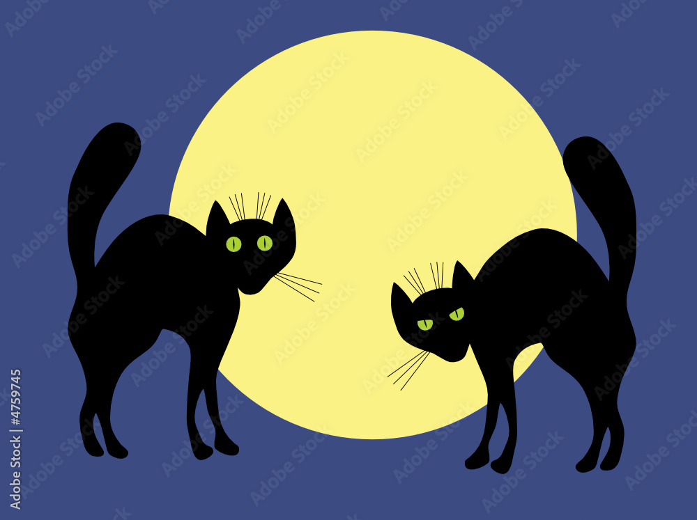 Two black cats. A vector illustration. Stock Vector | Adobe Stock