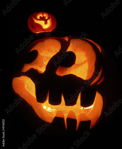 halloween pumpkins photo