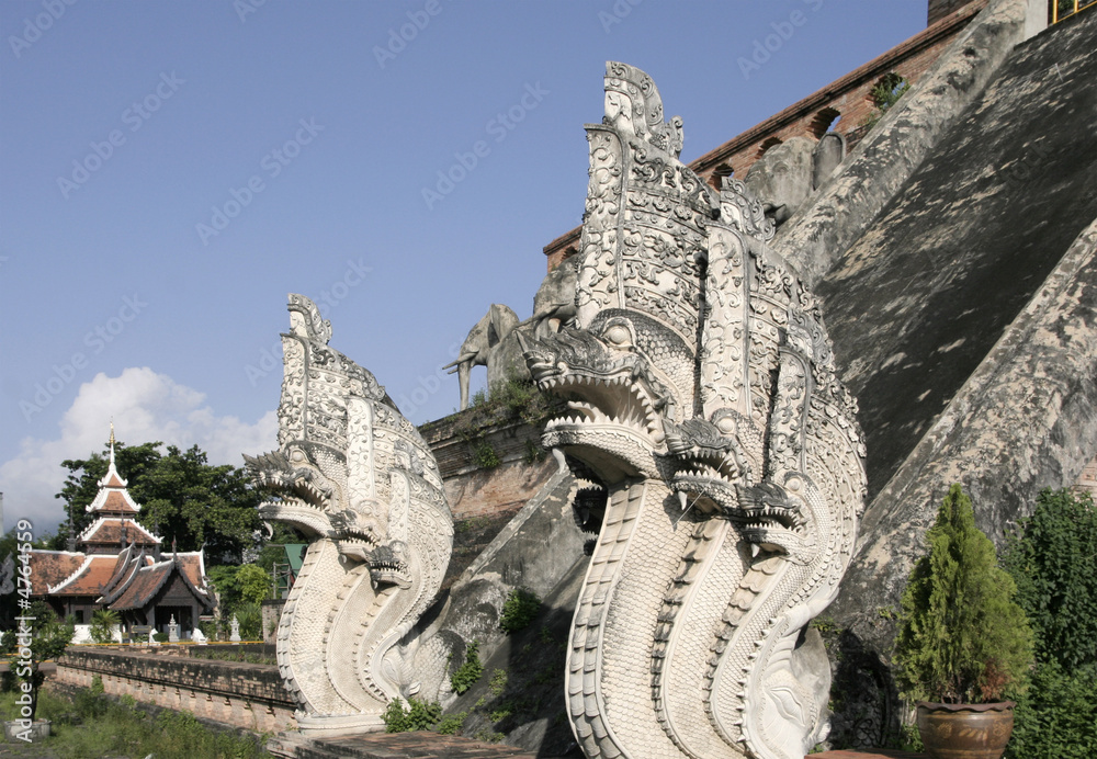 Naklejka premium dragons