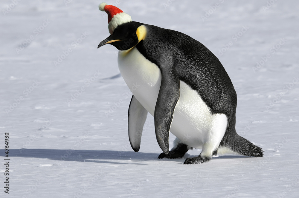 Fototapeta premium Get up for Christmas