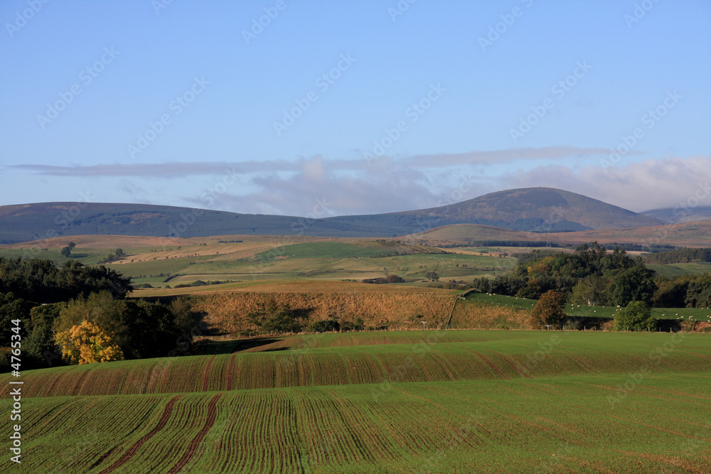 View to the Cheviot Hills
