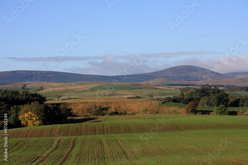 View to the Cheviot Hills