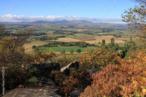 View to the Cheviot Hills photo