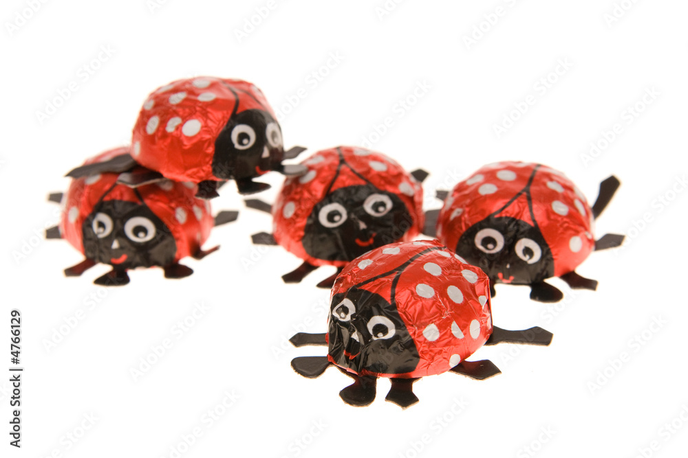 Obraz premium lucky ladybirds