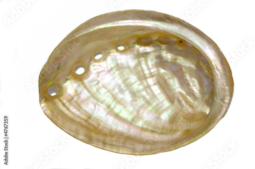 pearl seashell inside view isolated on white background