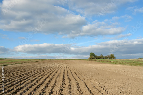 Arable field