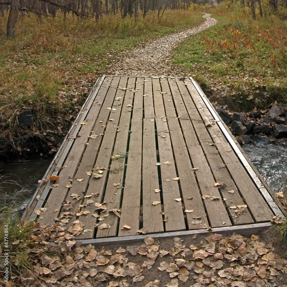 Fototapeta premium bridge 