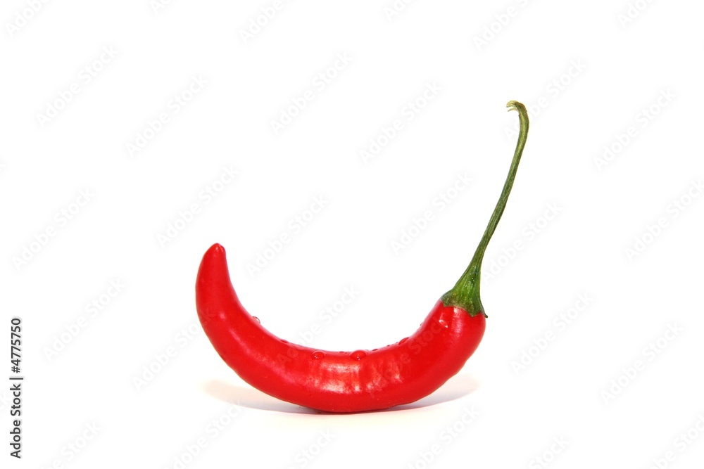 Chilischote Chilischote