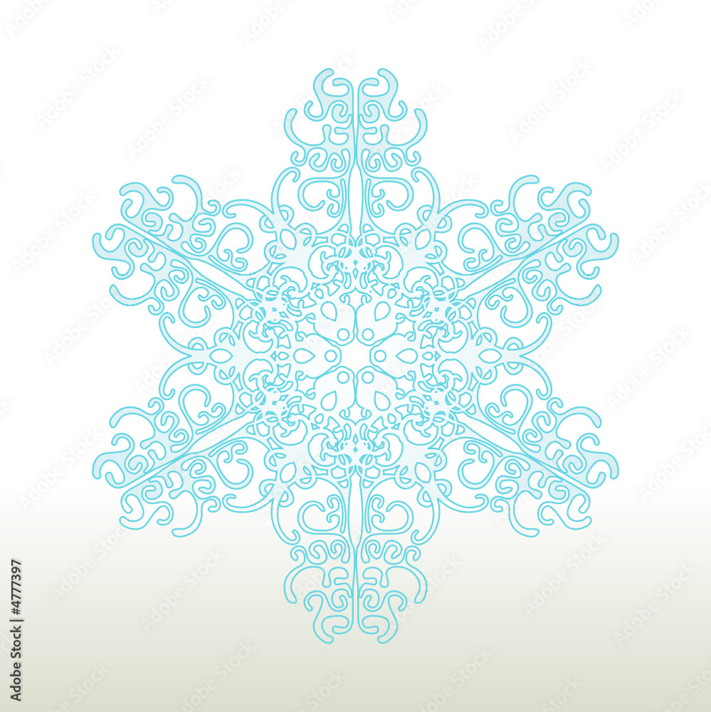 Decorative Snowflake Ornament Decorative Snowflake Ornament
