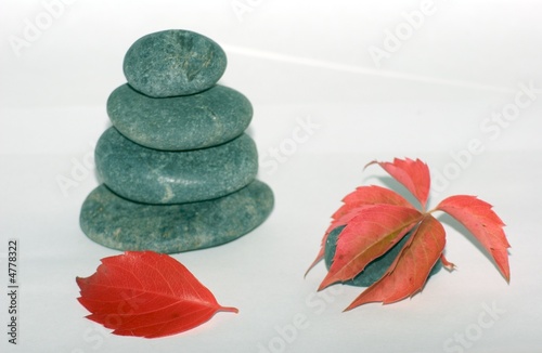 stones and red leaves