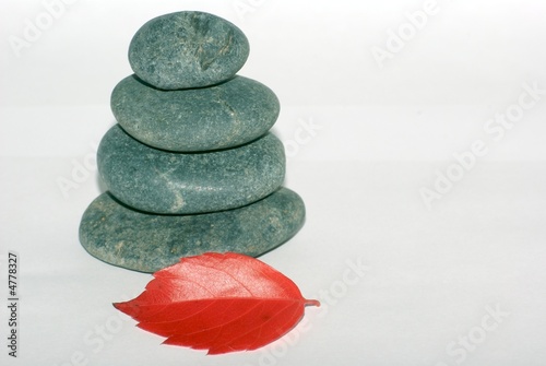 stones and red leaf