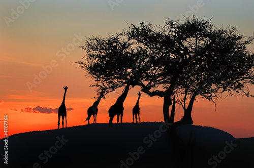 African sunset. © PROMA