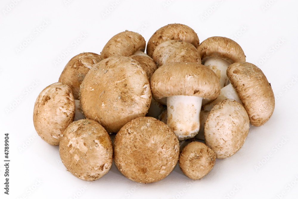 Champignons de Paris