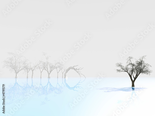 tree reflected on blue ice