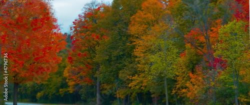 Wisconsin Autumn photo