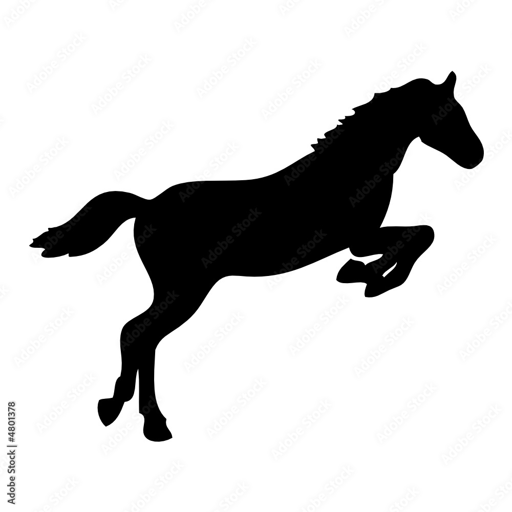 Fototapeta premium black horse silhouette vector tatoo