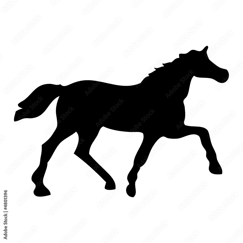 Fototapeta premium black horse silhouette vector tatoo