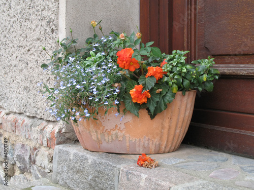 Flower pot