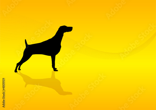 Animals Silhouette - Dog Setter