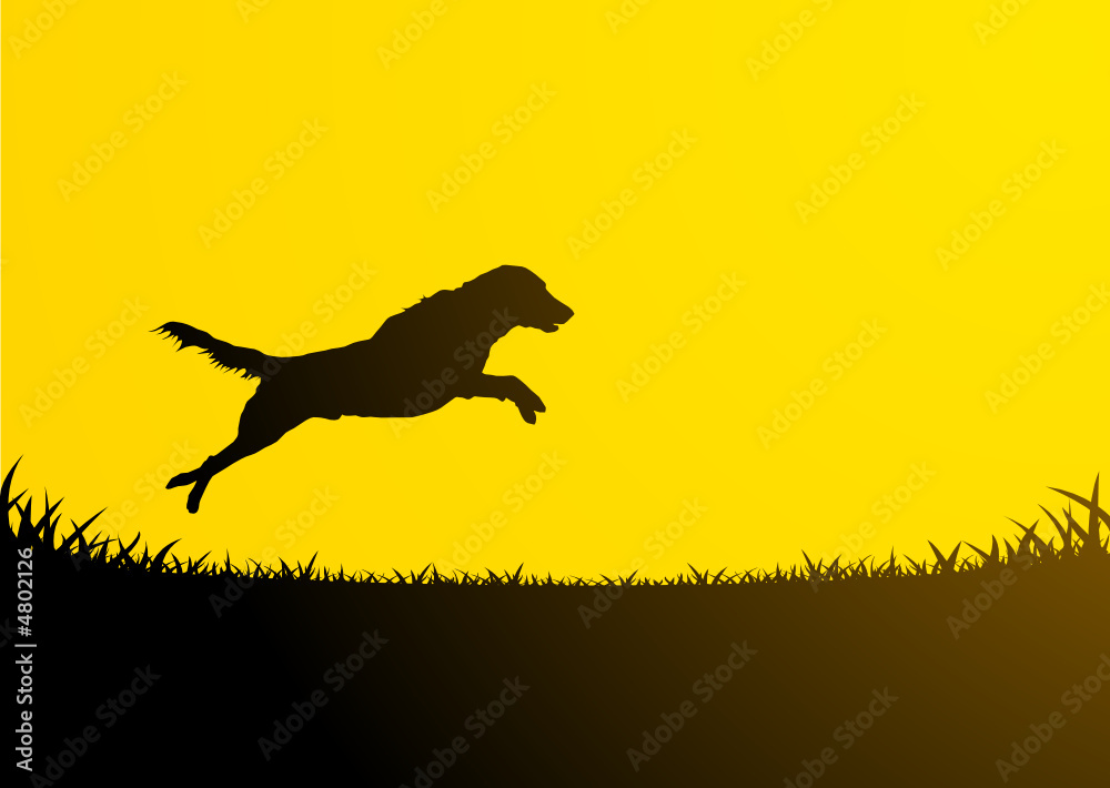 Obraz premium Animals Silhouette - Jumping Dog 