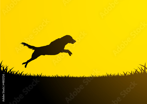 Animals Silhouette - Jumping Dog 