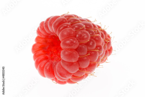 fresh raspberry