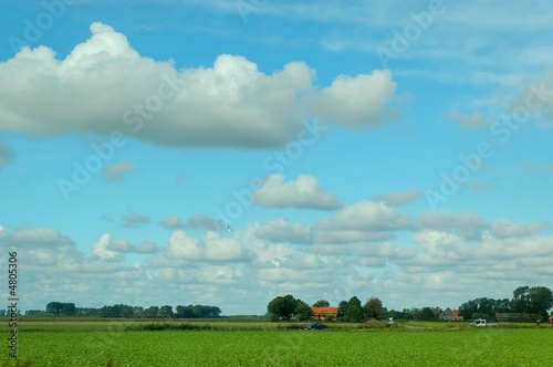Fototapeta Naklejka Na Ścianę i Meble -  Bauernhof in Holland