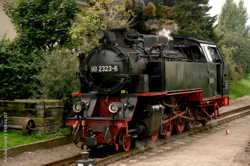 Fototapeta premium lokomotywa