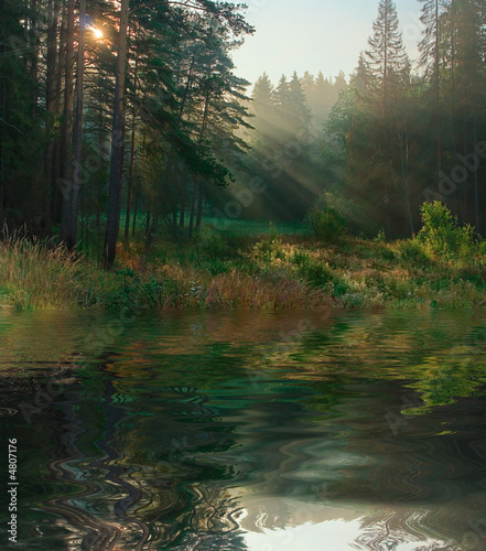 Rays