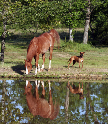 Friends by the Pond