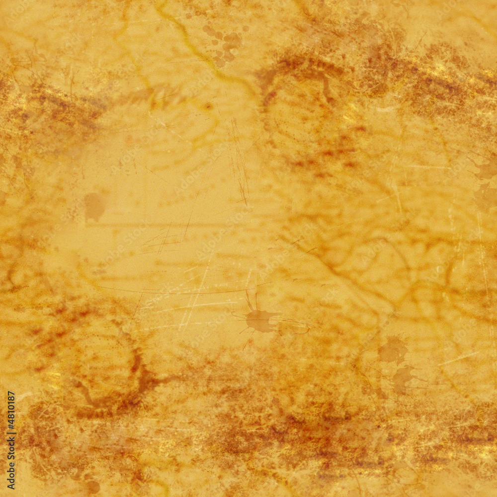 Fototapeta premium patern map