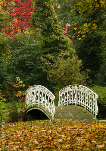 Bridge at park