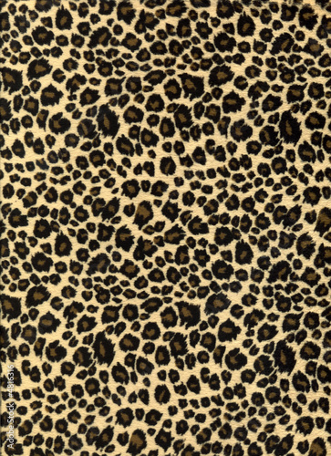 leopard print fabric texture