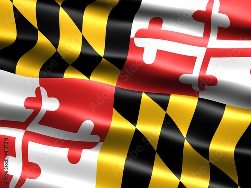 Flag of the state of Maryland photo