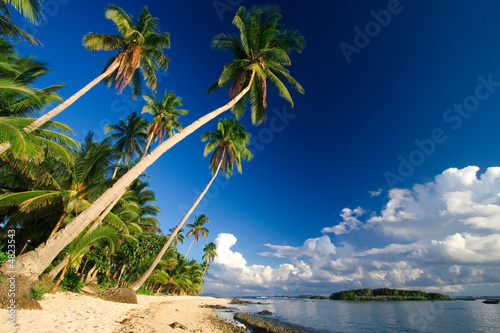 Beautiful tropical beach paradise