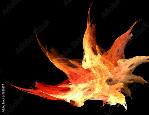 Burning Fractal Flame