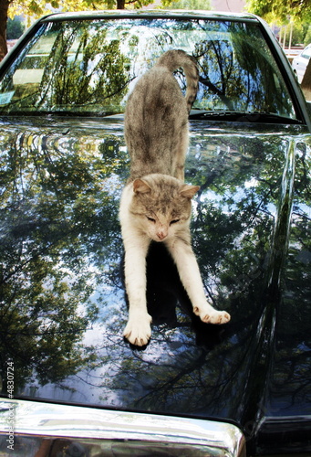 Cleaning of the body