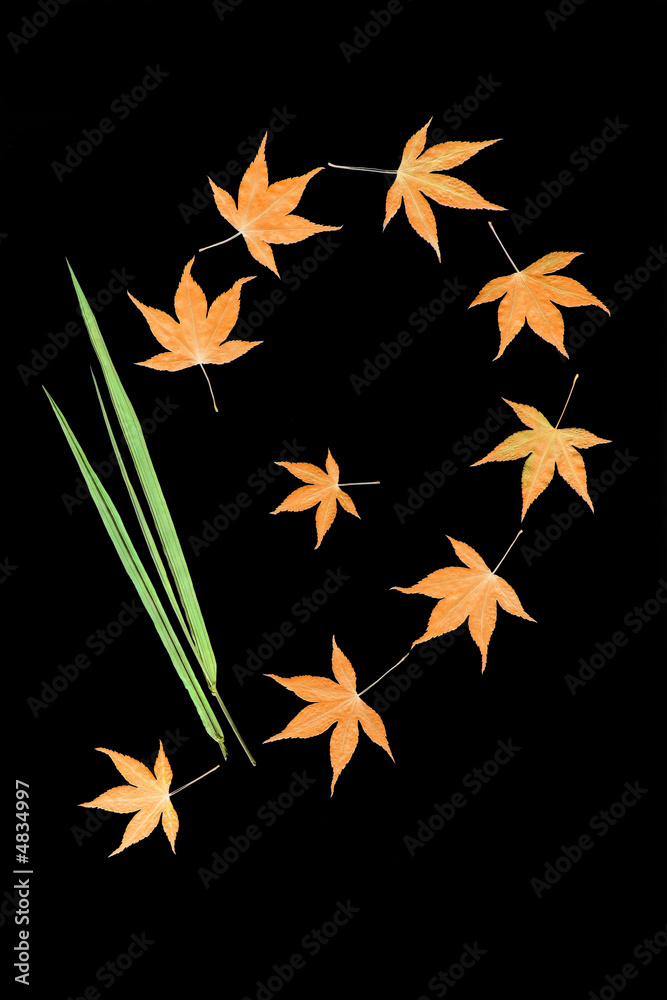 Flowing Leaves Flowing Leaves